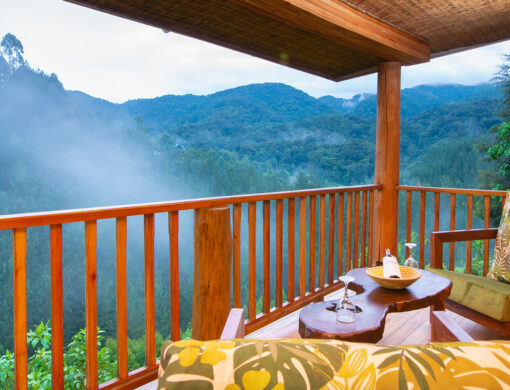 Luxury Family Cottages