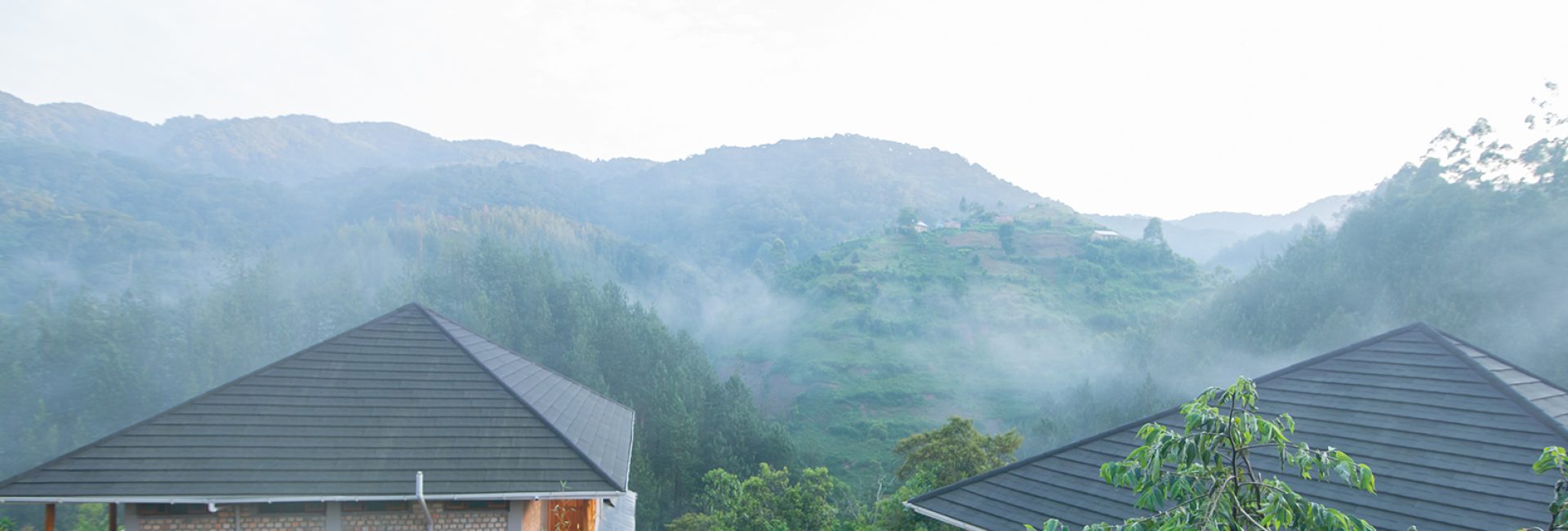 Luxury Double | Twin Cottage